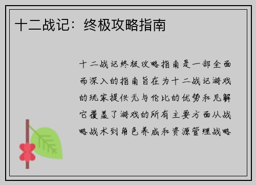 十二战记：终极攻略指南