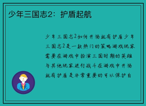 少年三国志2：护盾起航